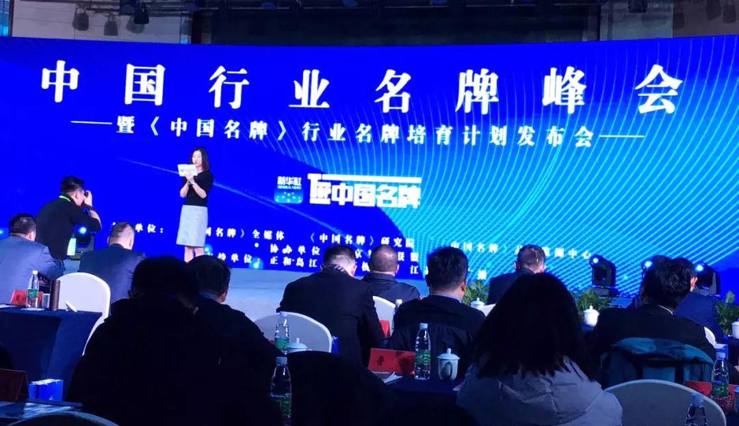中国行业名牌峰会