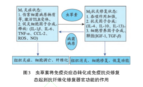 原文截图 原文截图