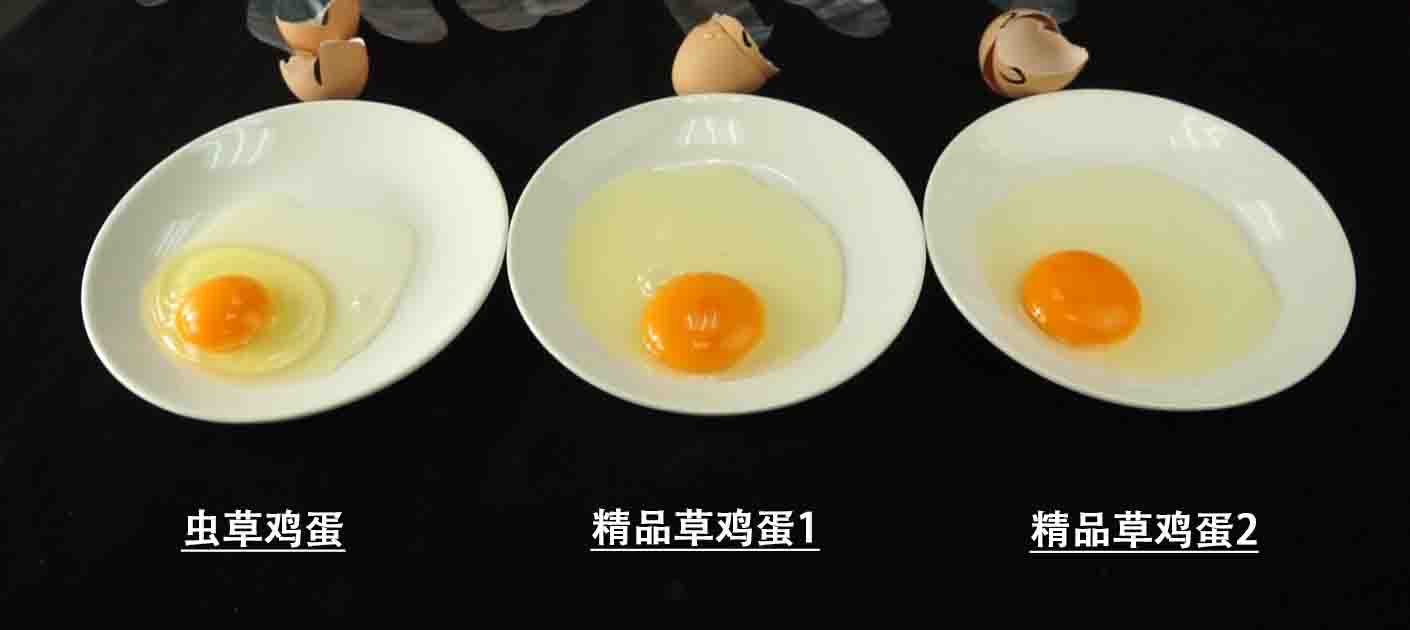 虫草鸡蛋对比普通鸡蛋