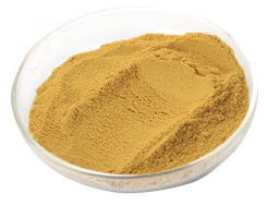 蛹虫草粉 提取物