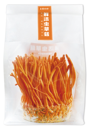 玉宴仙珍鲜活虫草菇 玉宴仙珍鲜活虫草菇