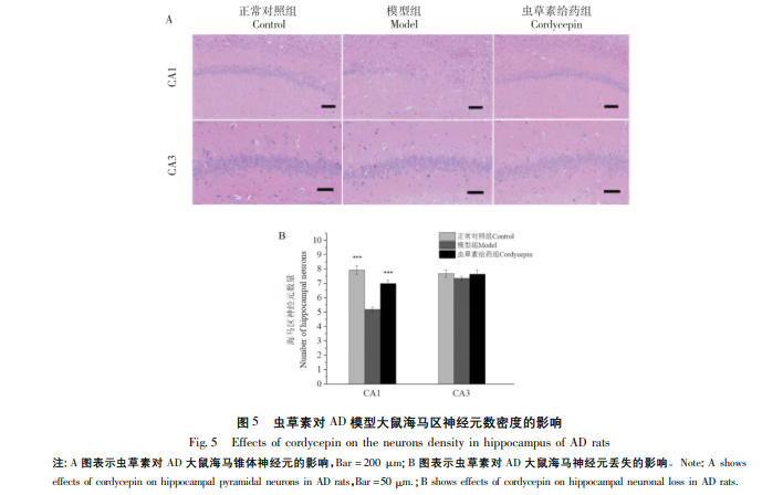 阿兹海默症论文截图2 阿兹海默症论文截图2