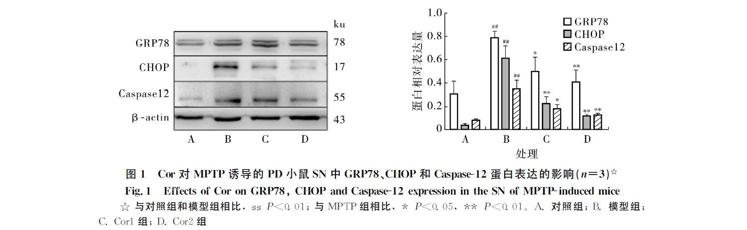 帕金森症论文截图3 帕金森症论文截图3