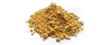 蛹虫草子实体粉