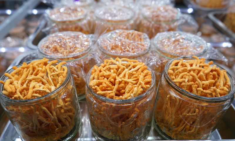 培育室的蛹虫草