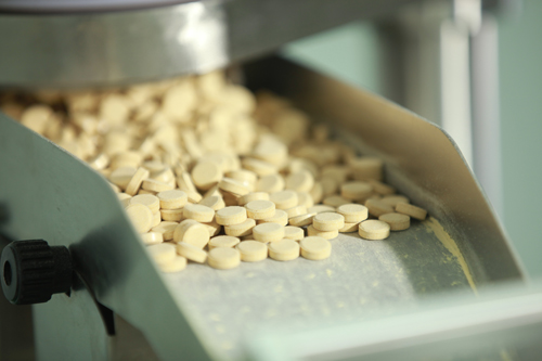 蛹虫草片加工过程